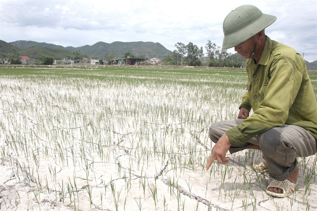 Theo dự báo, hạn hán, thiếu nước ở các tỉnh miền Trung có thể lên hơn 44.000 ha trong thời gian tới