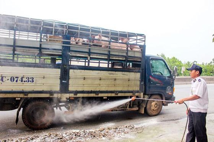 Các địa phương đã lập các chốt nghiêm ngặt nhằm hạn chế lây lan dịch tả lợn châu Phi.
