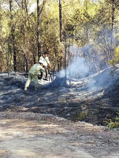 EVN cho hay, với việc thiếu than và khí cho sản xuất điện kéo dài trong suốt thời gian qua khiến việc đảm bảo cấp điện cho nền kinh tế gặp rất nhiều khó khăn
