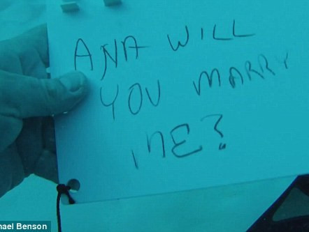 Lãng mạn cặp đôi cầu hôn dưới biển