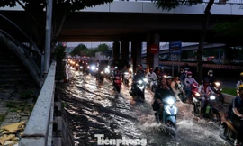 Nhiều trường ở TPHCM cho học sinh nghỉ sớm tránh bão số 13 và triều cường