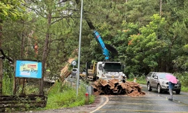 Ban Bảo trì đường bộ tỉnh Lâm Đồng cùng đơn vị nhà thầu đang khẩn trương khắc phục điểm sạt lở trên đèo Mimosa (phường Xuân Hương - Đà Lạt), sáng 19/11. Ảnh: Duy Nguyễn.
