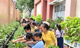 Giữa lòng TPHCM, học sinh tiểu học làm nông, hái rau