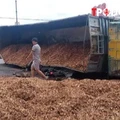 ĐIỂM TIN 20/10: Ám ảnh hiện trường vụ lật xe tải chở dăm gỗ khiến 3 người tử vong