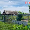 Các khoản phí phải nộp khi chuyển đổi đất vườn lên đất thổ cư năm 2025 người dân cần biết 