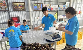 Cán bộ Đoàn với hệ sinh thái khởi nghiệp nâng sinh kế vùng ngập mặn Cà Mau