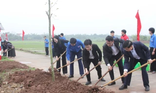 Tỉnh Đoàn Ninh Bình phát động Tết trồng cây đời đời nhớ ơn Bác Hồ
