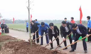 Tỉnh Đoàn Ninh Bình phát động Tết trồng cây đời đời nhớ ơn Bác Hồ