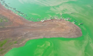 Dải lụa xanh hiện lên ở hồ Trị An khiến du khách say lòng, nhiếp ảnh gia mê mẩn