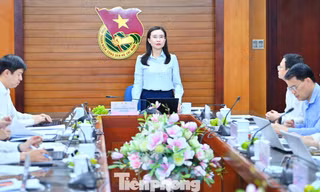 Xét chọn giải thưởng Cánh én hồng và giải thưởng Kim Đồng năm 2026