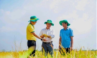 Mùa Vụ Thắng Lớn 2026: Hành trình tri ân thiết thực từ phân bón Cà Mau dành cho nhà nông Việt