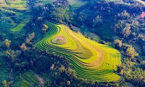 Đẹp ngất ngây ruộng bậc thang ở thung lũng Lục Hồn 