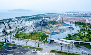 Cảnh tan hoang tại sân khấu siêu nhạc hội Superfest 2025 bị sập do dông lốc ở Hạ Long