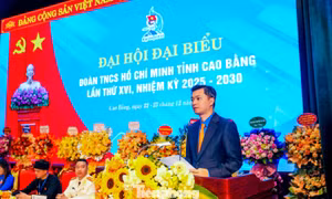 Cần giải pháp đột phá để phát triển toàn diện trí tuệ, thể chất và đời sống văn hóa tinh thần cho thanh niên