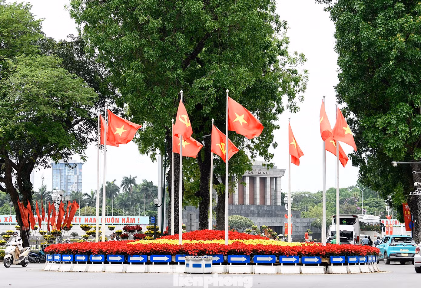 tp-1.jpg
