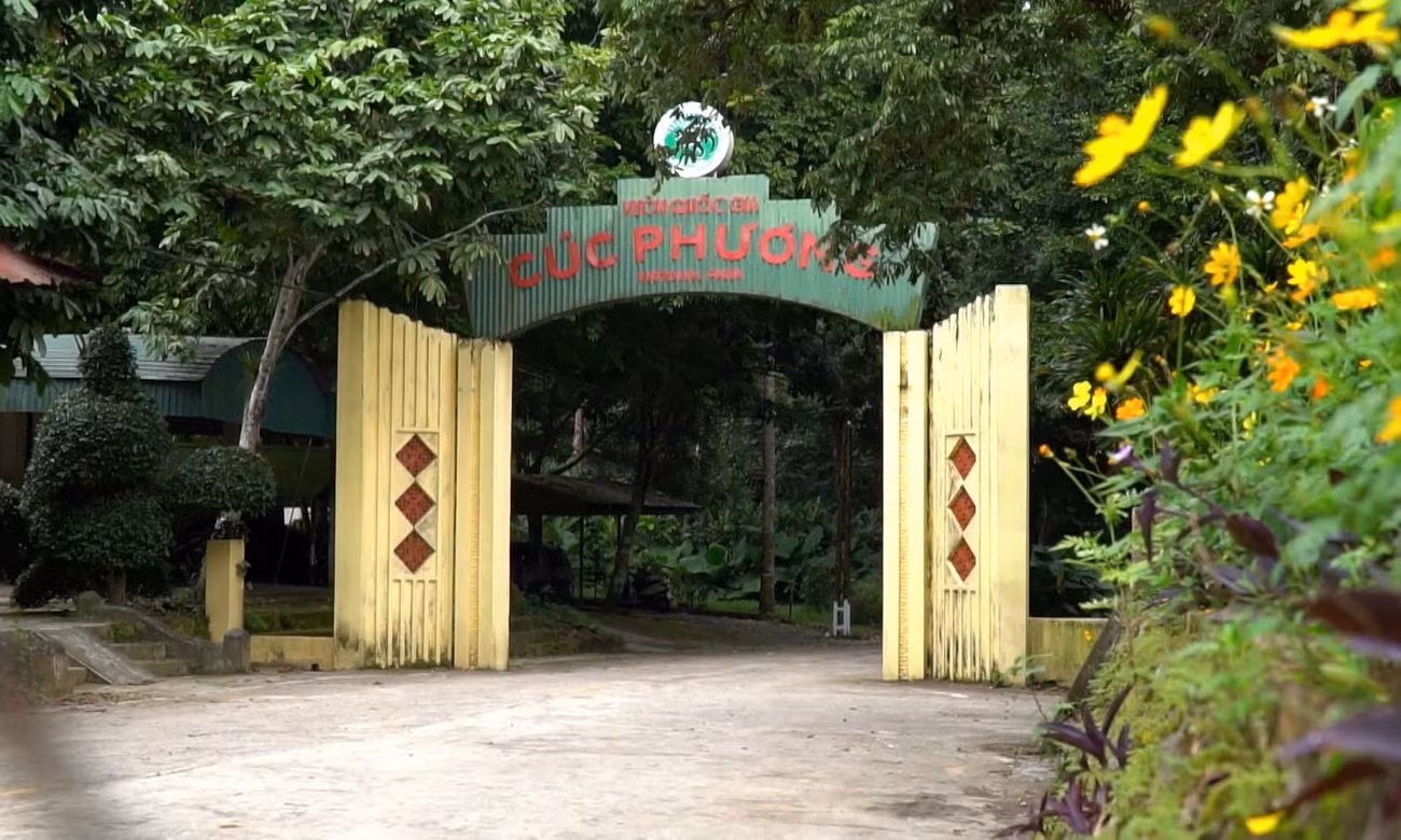 Ninh Bình ‘muốn’ quản lý Vườn quốc gia Cúc Phương