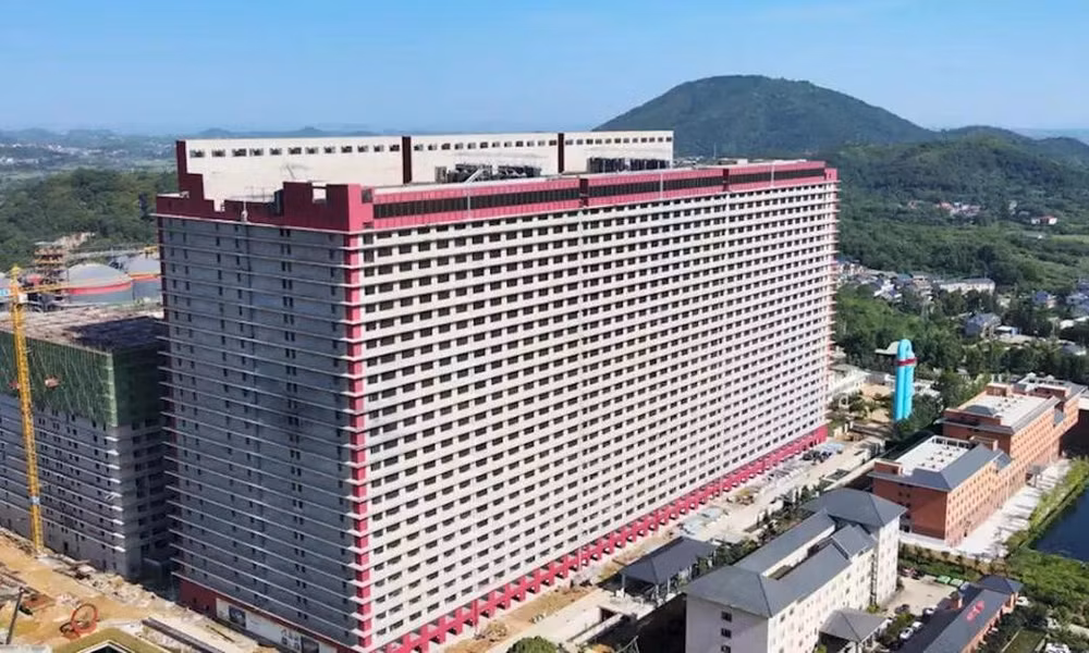 Hà Nội nghiên cứu tổ hợp chăn nuôi lợn cao tầng tại 3 xã 