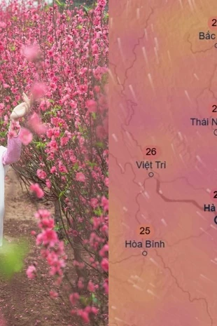 Vì sao thời tiết dịp Tết Bính Ngọ ở Hà Nội được dự báo khác nhau?