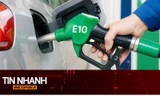 TIN NHANH: Hôm nay bán xăng E10 ở 3 thành phố: Tiết lộ chi tiết quyết định tuổi thọ động cơ xe