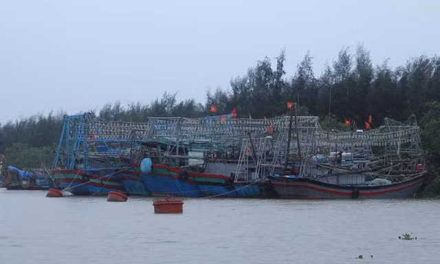 Tàu thuyền của ngư dân Thanh Hóa