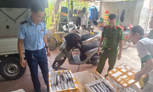 Thanh Hóa phát hiện cơ sở kinh doanh thực phẩm là côn trùng bốc mùi
