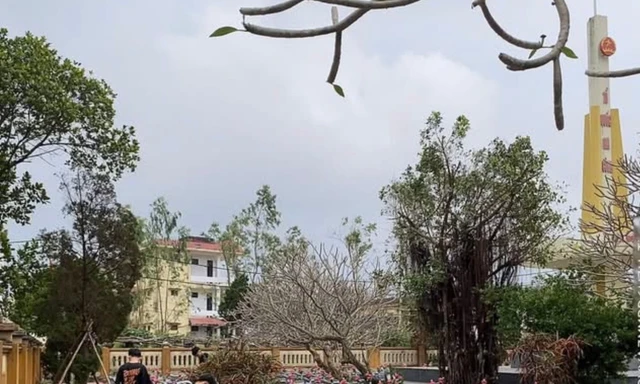 Nhiều học sinh chưa ngoan ở Quảng Trị tham gia quét dọn, vệ sinh Nghĩa trang Liệt sĩ