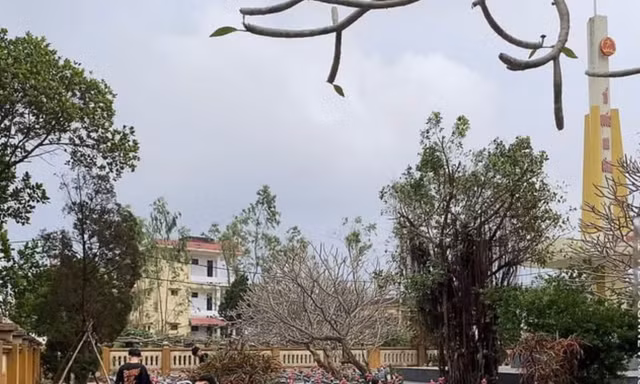 Nhiều học sinh chưa ngoan ở Quảng Trị tham gia quét dọn, vệ sinh Nghĩa trang Liệt sĩ