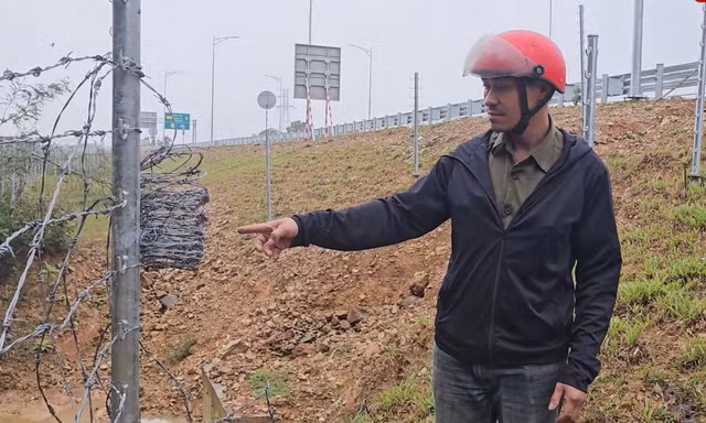 Dân ‘kêu oan’ trước cáo buộc tháo hàng rào để đàn bò lên đi dạo trên cao tốc Vạn Ninh – Cam Lộ 