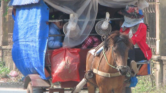 Hiệu trưởng Trường tiểu học Tiên Dược: “Các anh bắt xe ngựa, học sinh về bằng cách nào”.