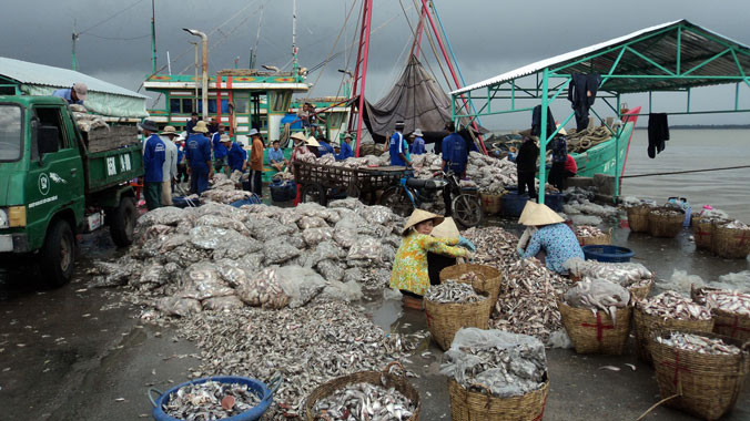 Tàu của ngư dân về cảng Trần Đề (Sóc Trăng) với nhiều cá vụn. ẢNH: SÁU NGHỆ