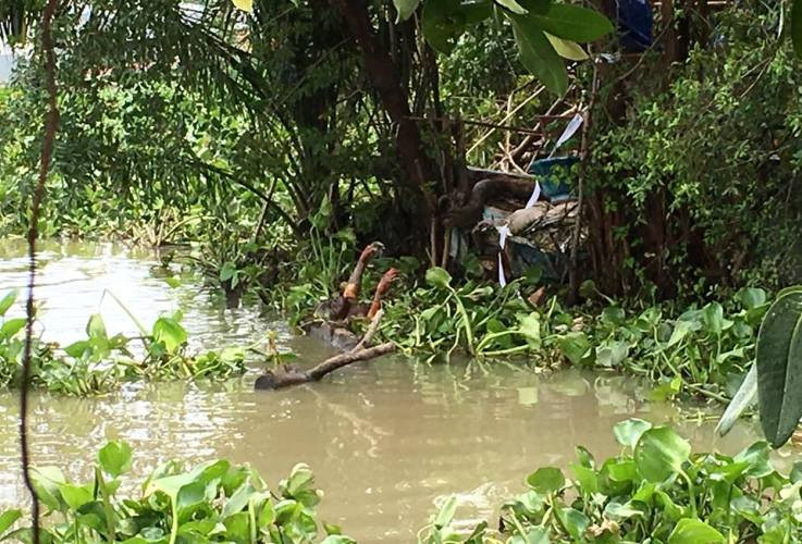 Khu vực tìm thấy thi thể nạn nhân