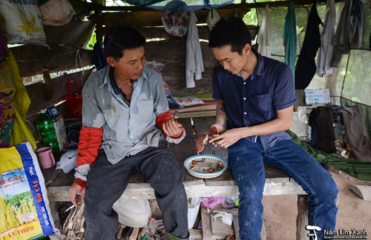 Những cây nấm lim xanh tự nhiên anh Thức mới hái trong rẫy 