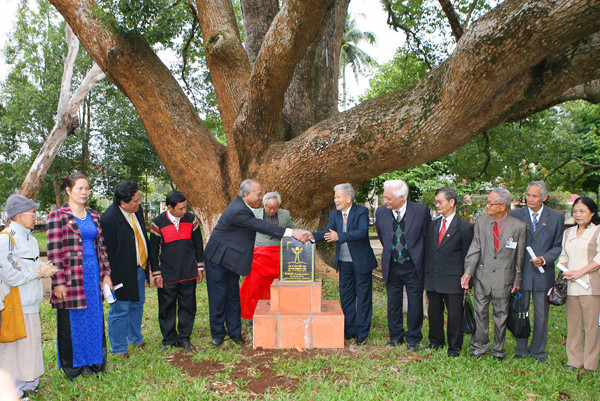 Lễ công nhận cây di sản.