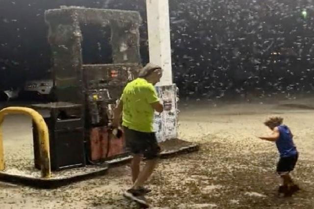 Clip kinh khủng đàn ruồi hàng triệu con 'tấn công' trạm xăng, dân tình sốc, hoảng hốt