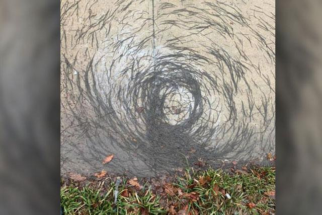 Vong xoáy giun kỳ lạ.