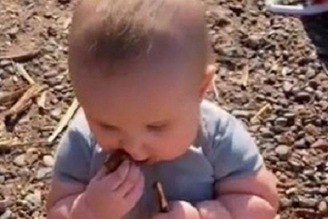 Cậu bé Fern được mẹ cho gặm đất đá thoải mái vì người mẹ không sợ vi khuẩn. 