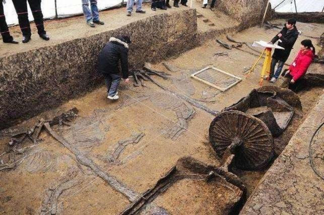 Xe ủi vô tình làm lộ ngôi mộ có 600 chiến mã bị chém khiến nhiều người sửng sốt. 