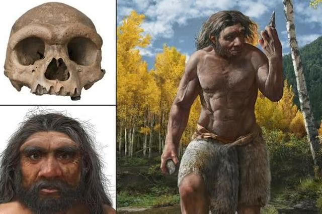 Bí ẩn hộp sọ cổ đại kỳ lạ phát hiện ở Trung Quốc được giải mã sau gần 100 năm