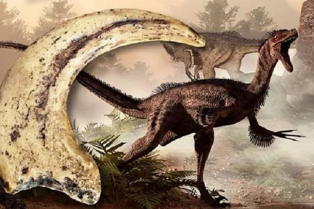 Không phải T-Rex với "cú đớp tử thần", khủng long Velociraptor mới là kẻ săn mồi vô địch thời tiền sử.