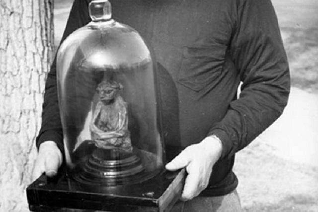 Xác ướp tí hon kỳ lạ được tìm thấy ở dãy núi San Pedro (Mỹ). 