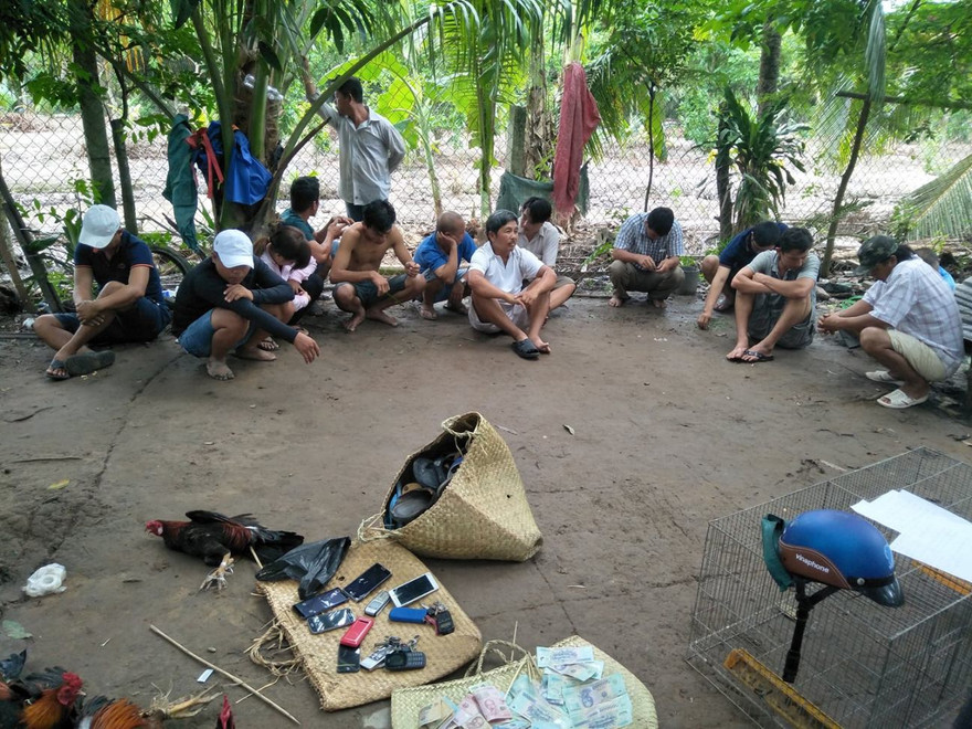 Hiện trường đá gà bị bắt quả tang