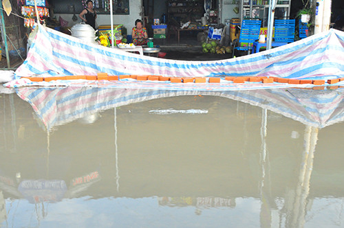 Triều cường dâng cao, người dân miền Tây quay cuồng trong nước