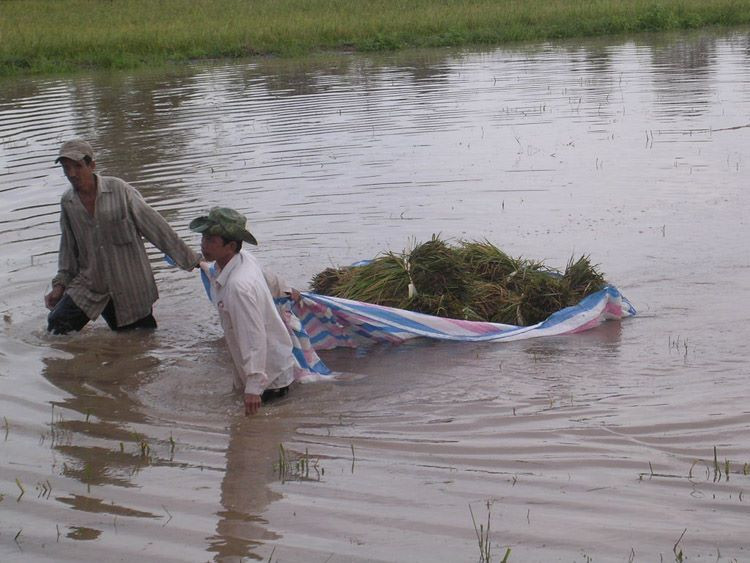An Giang chỉ đạo ứng phó liên quan sự cố vỡ đập ở Lào