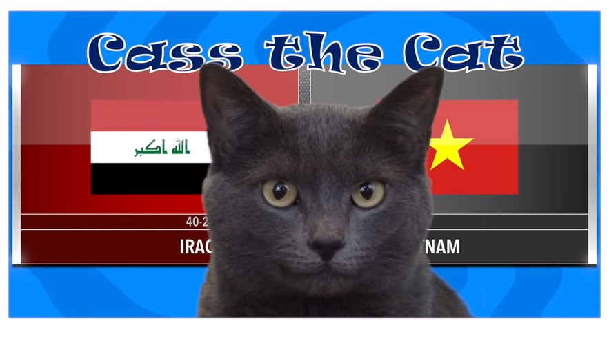 Chú mèo tiên tri nổi tiếng của Blackburn Roverseas