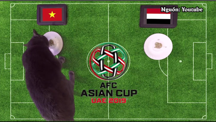 Mèo tiên tri Cass dự đoán Việt Nam thắng Yemen