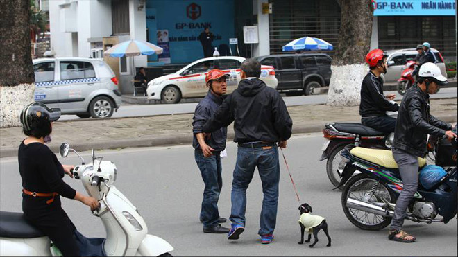 Kẻ hôi của xấu xí