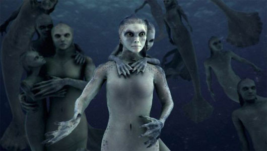 Bộ phim tài liệu được phát sóng trên kênh truyền hình Animal Planet năm 2012