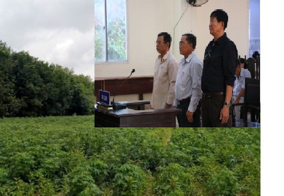 Cựu Giám đốc sở Tài nguyên Bình Dương gây thiệt hại hàng trăm tỷ đồng