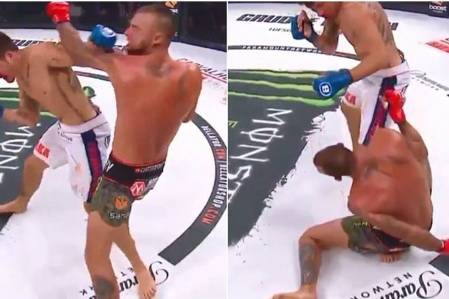 Tony Johnson hạ nock-out Joe Schilling.