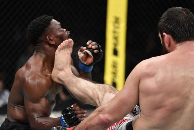 Magomed Ankalaev ra đòn hạ gục đối thủ.